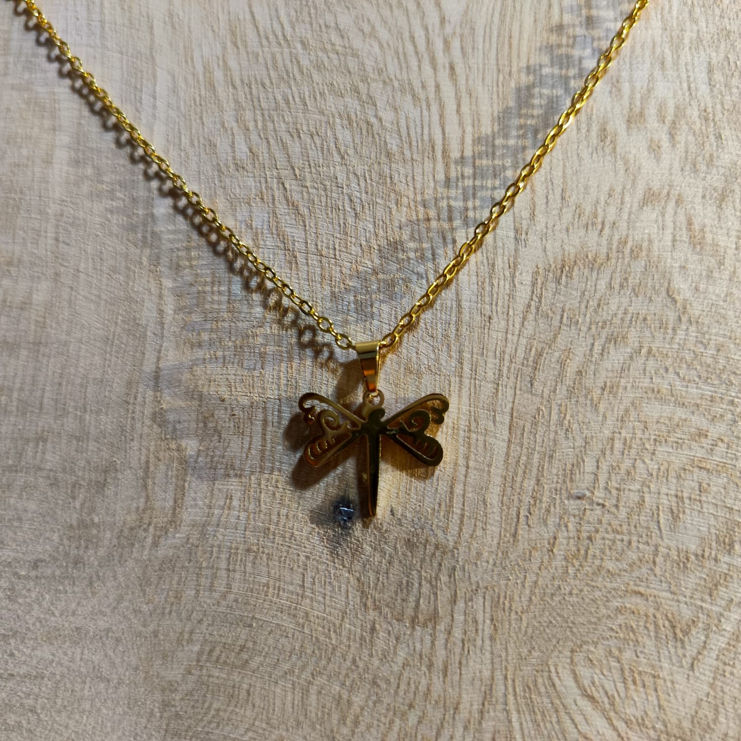 🦋 Set "Alma Libre" – Collar y Aretes de Libélula ✨